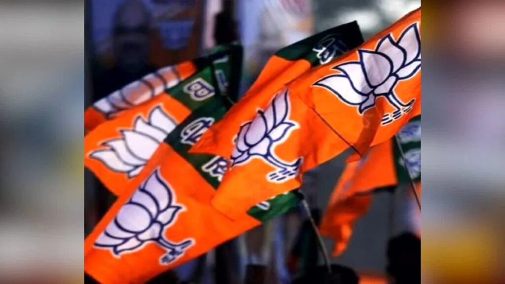 CG NEWS : केंद्र सरकार के 12 साल पूरे, भाजपा शुरू करेगी प्रदेशव्यापी महाजनसंपर्क अभियान