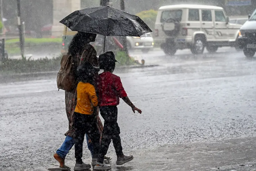 CG: छत्तीसगढ़ में मानसून की रफ्तार बरकरार, अगले एक हफ्ते तक बारिश के आसार; उत्तर जिलों में ज्यादा असर