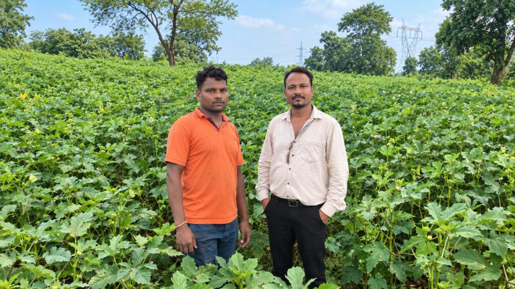 CG: आधुनिक खेती से बदली सुमरन सिंह की जिंदगी, सब्जी उत्पादन से सालाना ₹2.20 लाख तक पहुंची आमदनी